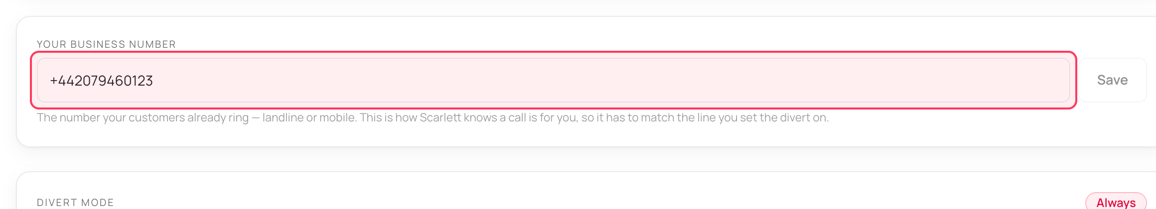 The 'Your business number' field filled with 020 1234 5678, highlighted in coral, with the Save button beside it.